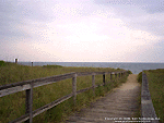 Beach Access Wallpaper