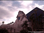 Sphinx Wallpaper