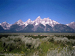 Tetons Wallpaper