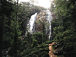Waterfall Wallpaper