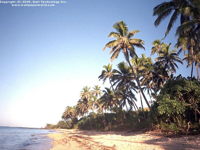 'Fiji Island' 640x480 Free 3D Wallpaper