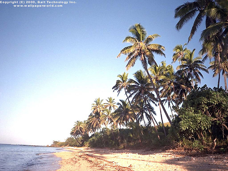 'Fiji Island' 800x600 Free 3D Wallpaper