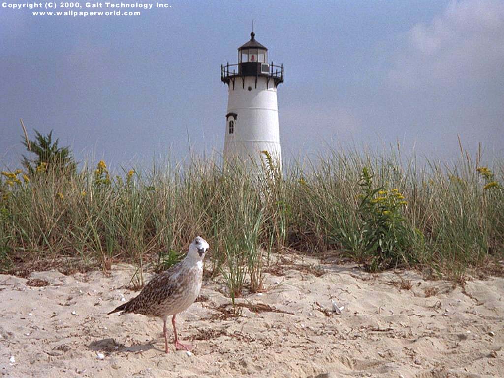 'Lighthouse & Seagull' 1024x768 Free 3D Wallpaper