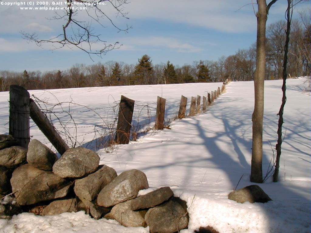 'Snow Fence' 1024x768 Free 3D Wallpaper