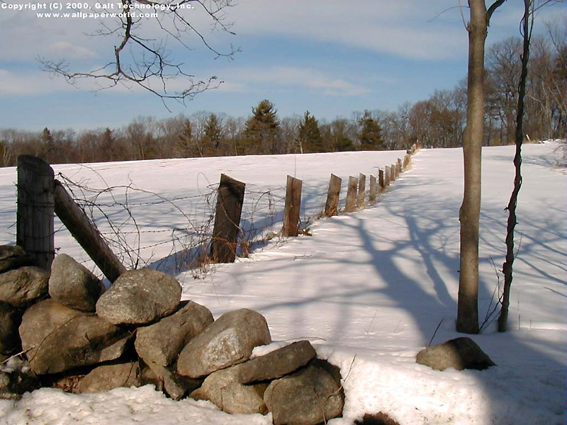 'Snow Fence' 800x600 Free 3D Wallpaper