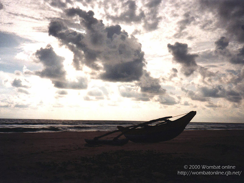 'Low Tide' 800x600 Free 3D Wallpaper