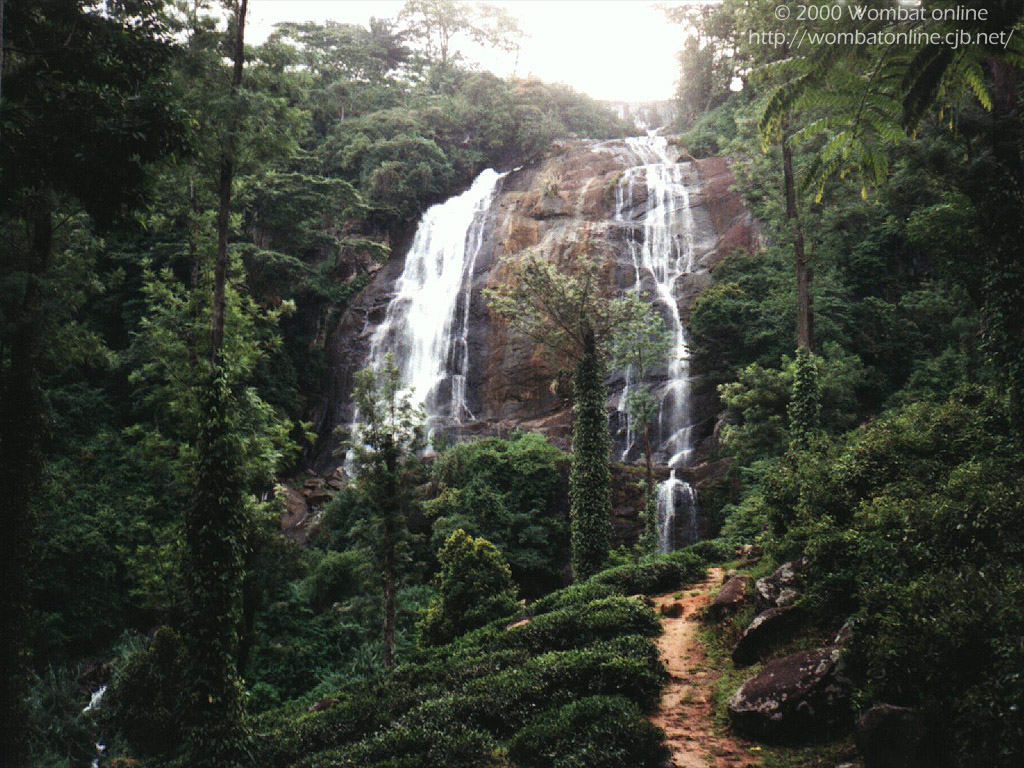 'Waterfall' 1024x768 Free 3D Wallpaper